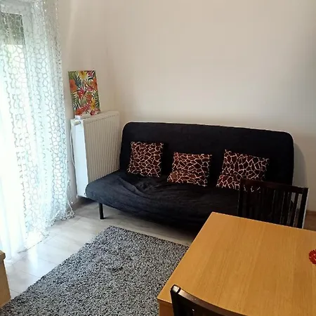 Przytulne - 2 Pokoje,parking,blisko Centrum-6km,tramwaj, Nflix, Park, Spokoj, Apartment *